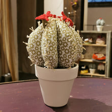 Carica l'immagine nel visualizzatore di Gallery, cactus di stoffa - pezzo unico