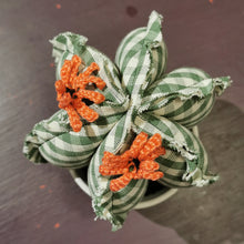 Carica l'immagine nel visualizzatore di Gallery, cactus di stoffa - pezzo unico