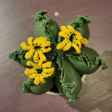 Carica l'immagine nel visualizzatore di Gallery, cactus di stoffa - pezzo unico