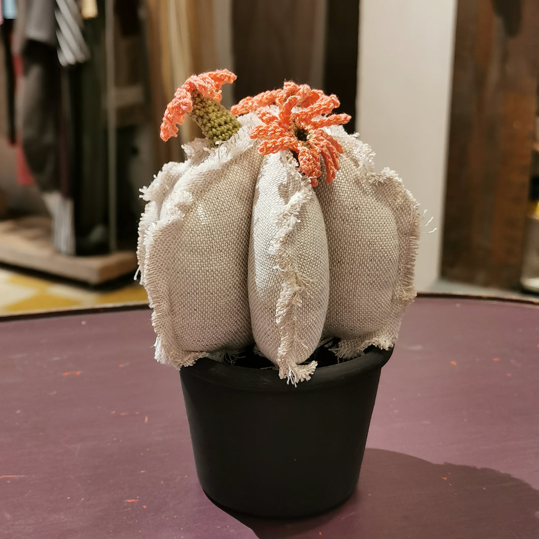 cactus di stoffa - pezzo unico